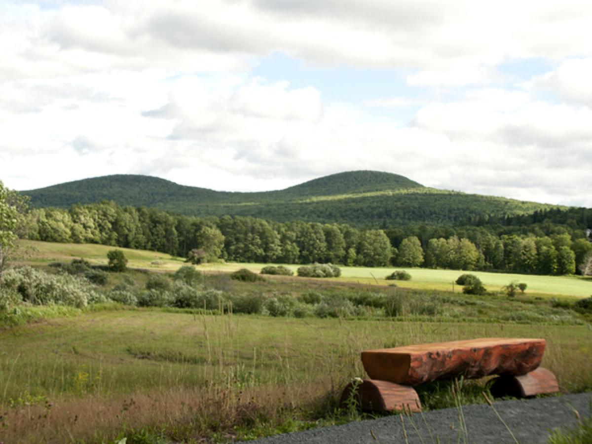 The Windham Path Great Northern Catskills of Greene County